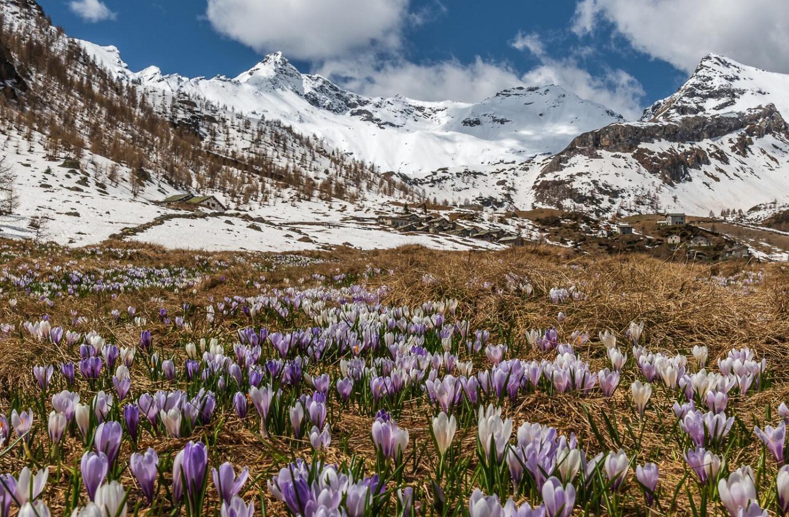 Belcolle, Il Bello Della Tranquillita Киавенна Экстерьер фото